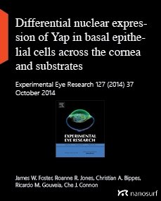 Differential nuclear expression of Yap in basal epithelial cells across the cornea and substrates of differing stiffness